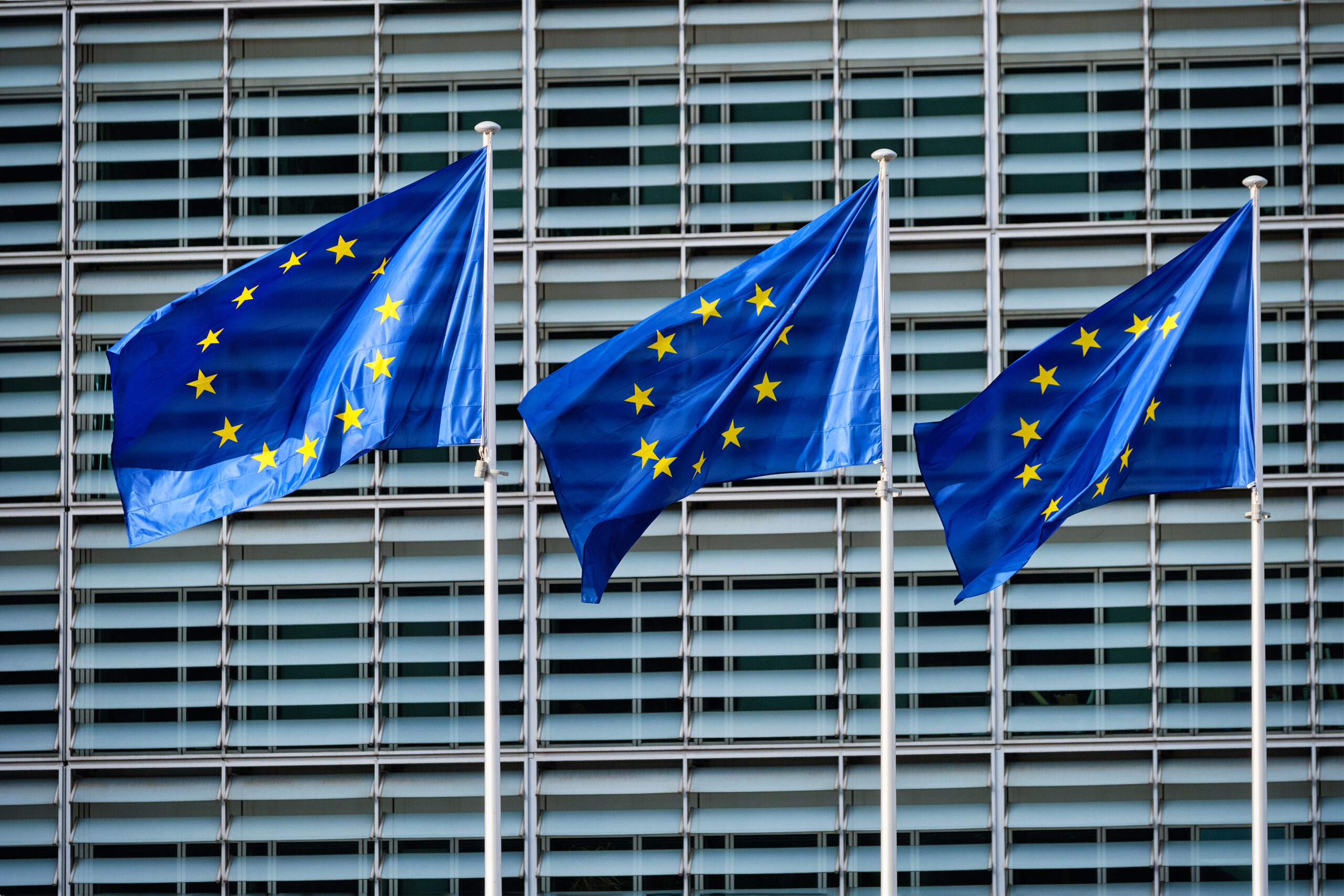 Verbändeschreiben an die Bundesregierung zur neuen EU-Verpackungsverordnung